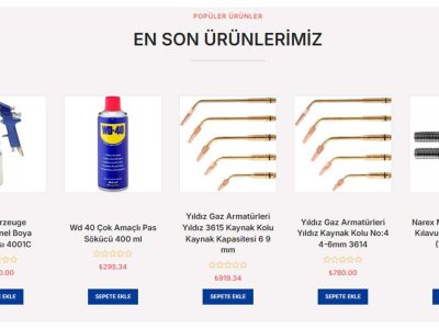 SDF Shop E-Ticaret Web Tasarım