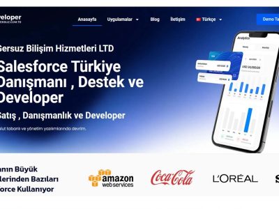 Salesforce Bulut Tabanlı Taşıma Yönetim Sistemi (TMS)