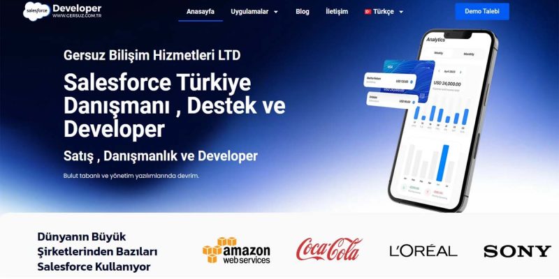 Salesforce Bulut Tabanlı Taşıma Yönetim Sistemi (TMS)